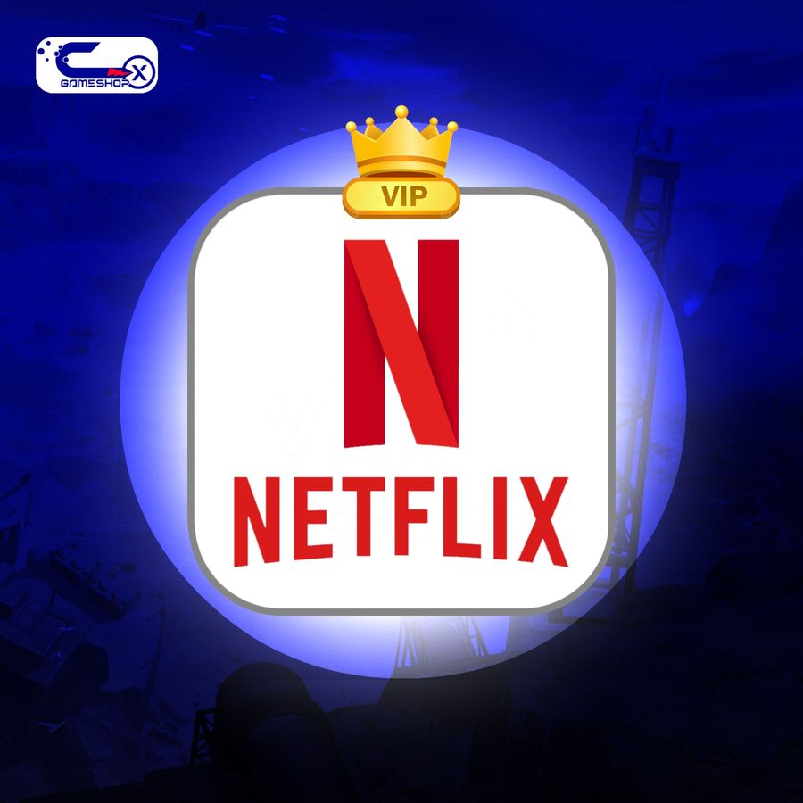 Netflix Subscription