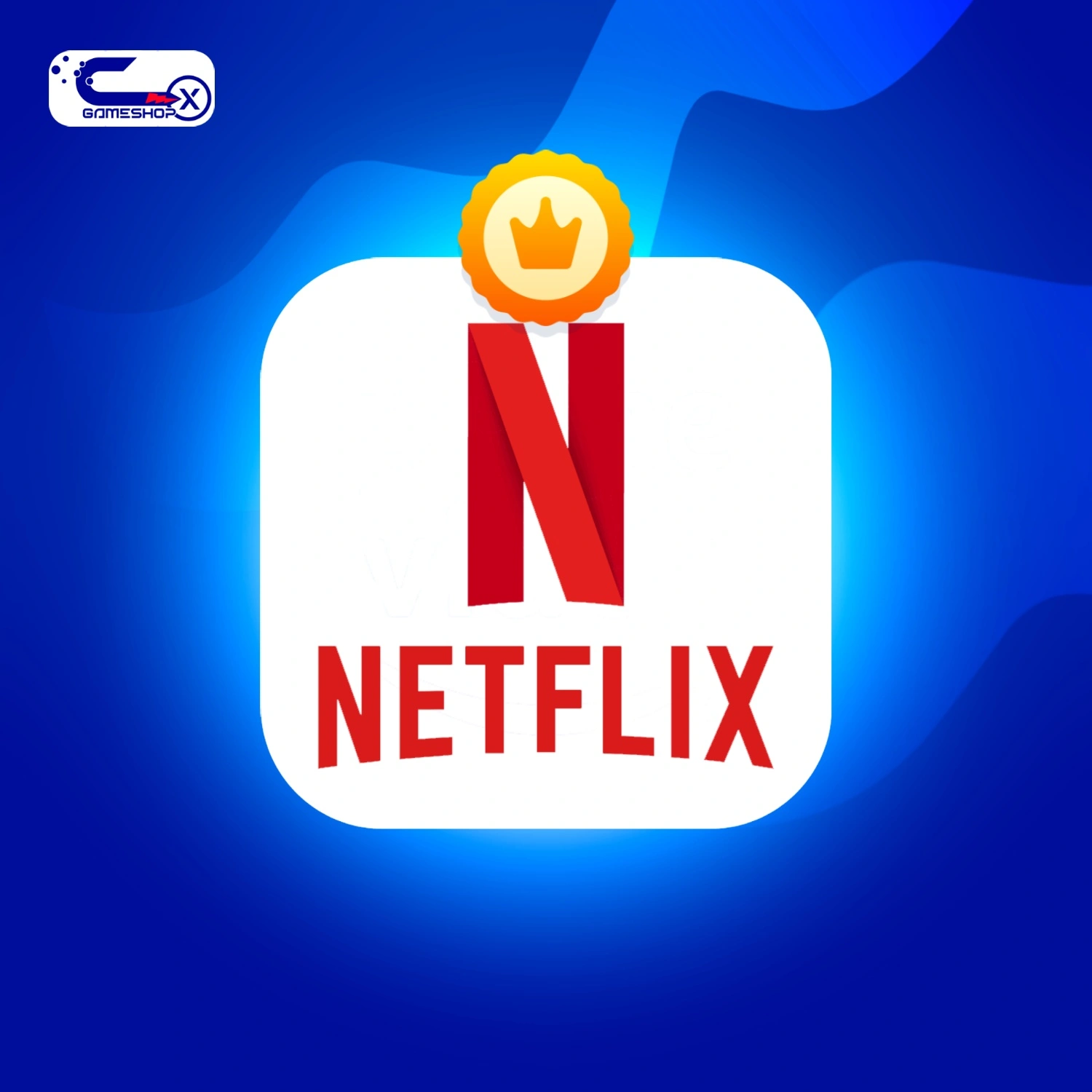 Netflix Subscription