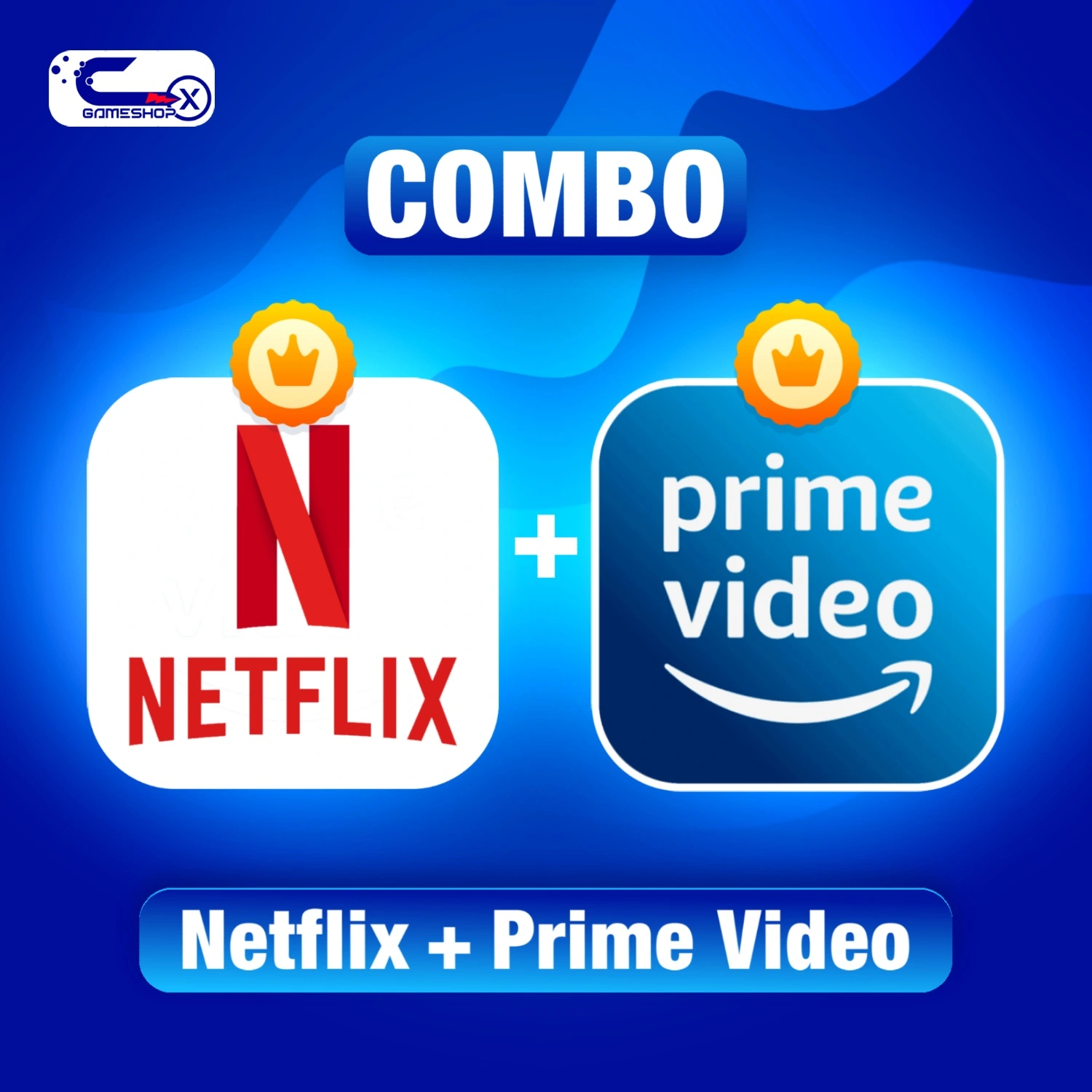 Netflix and Prime Video Premium Subscription